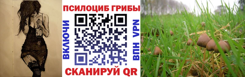 Псилоцибиновые грибы ЛСД  Купить закладки  Шенкурск 